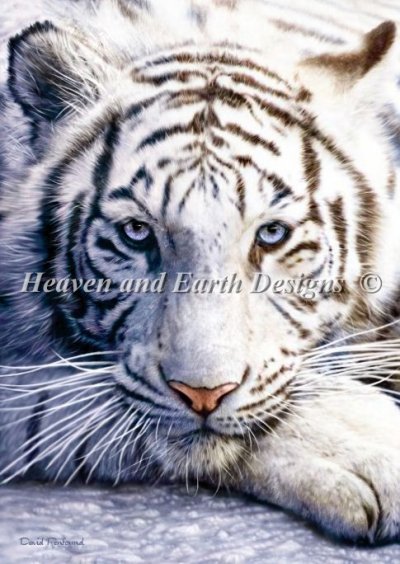 Diamond Painting Canvas - Mini White Tiger